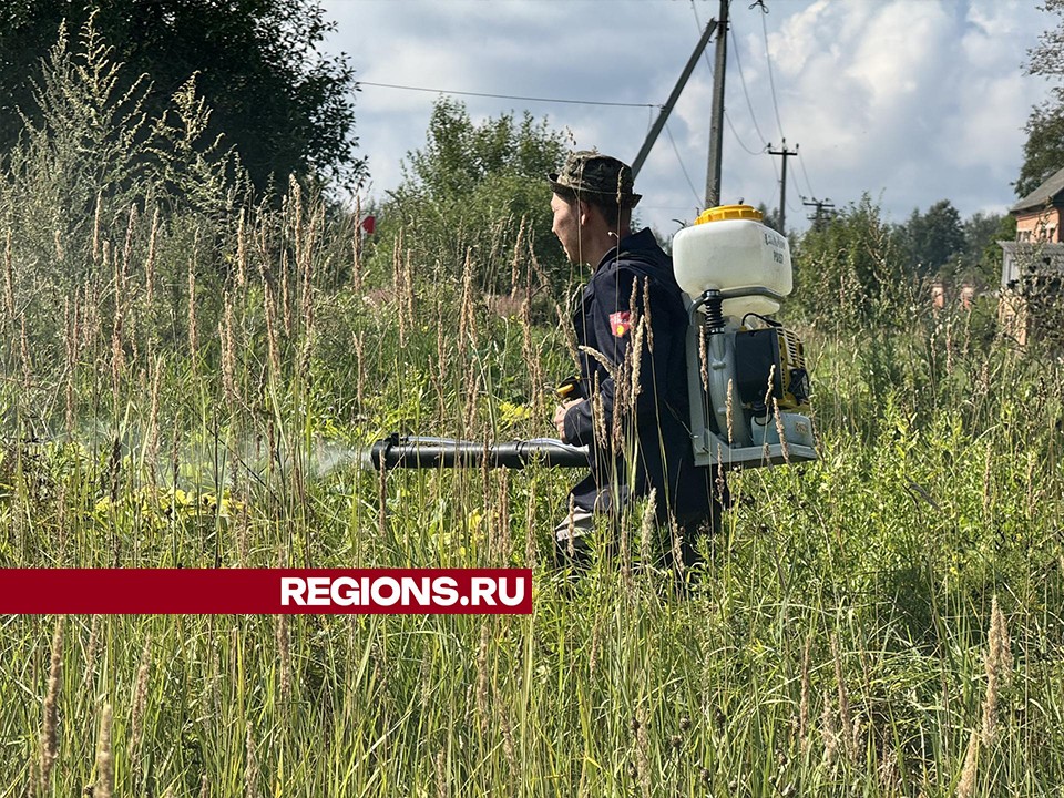 Землю в деревне Городково обработали от борщевика