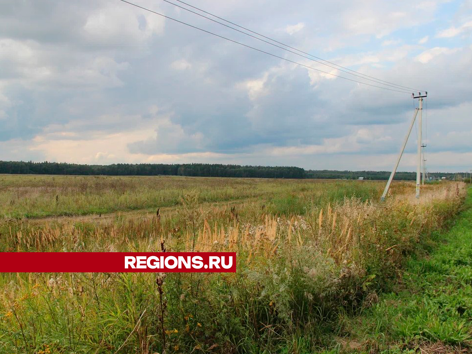 Психиатр из Егорьевска одним из первых врачей этой специальности получил земельный участок