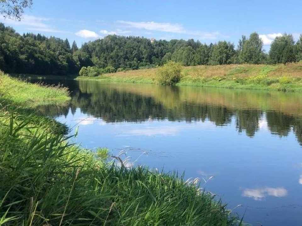 Мозжинский овраг под Звенигородом признали памятником природы областного значения