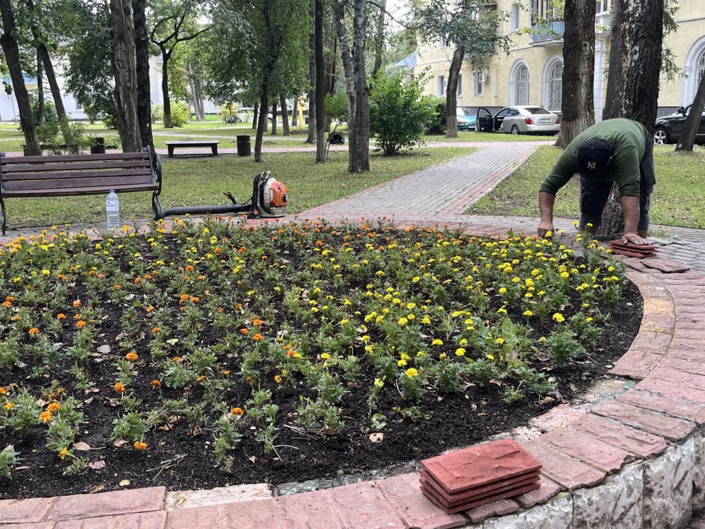 На Февральской улице в Апрелевке покосят траву по обращению жителей