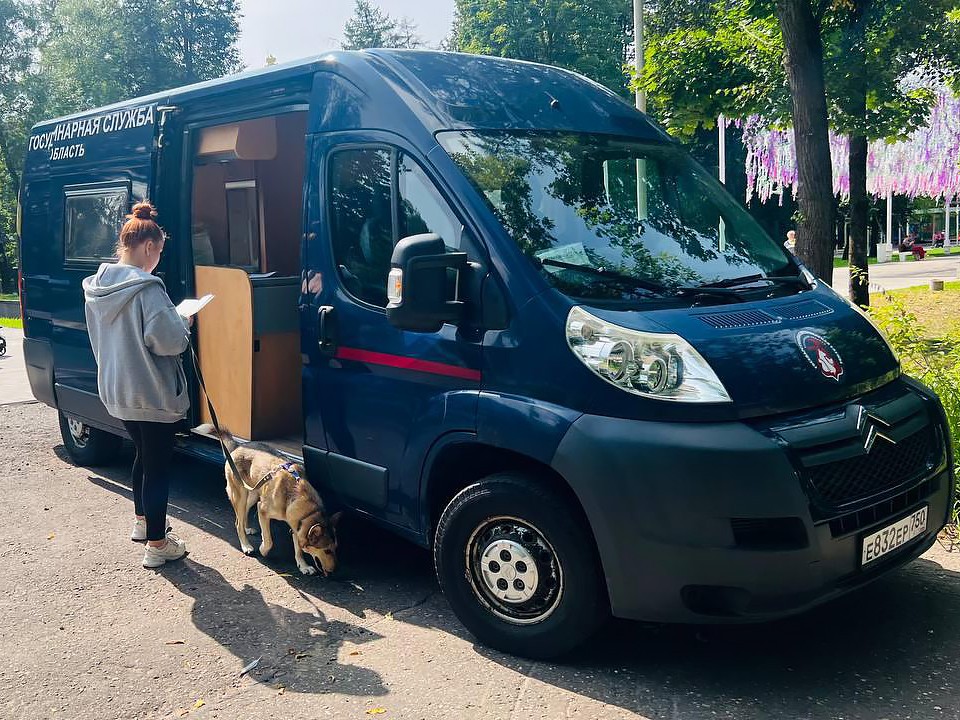 В парках Подмосковья начнут чипировать, регистрировать и вакцинировать питомцев