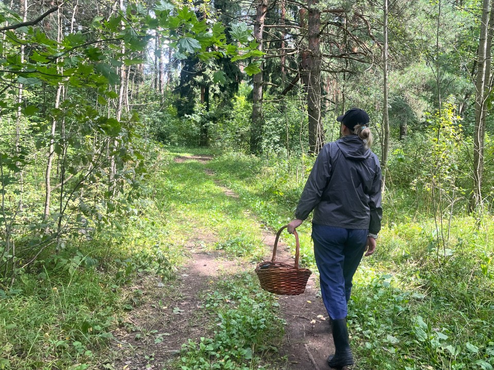 Активировались клещи: грибники советуют продумать экипировку для похода в лес