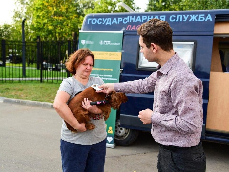 Мытищинцы проверили работу вживленных под кожу собакам чипов у врачей госветслужбы