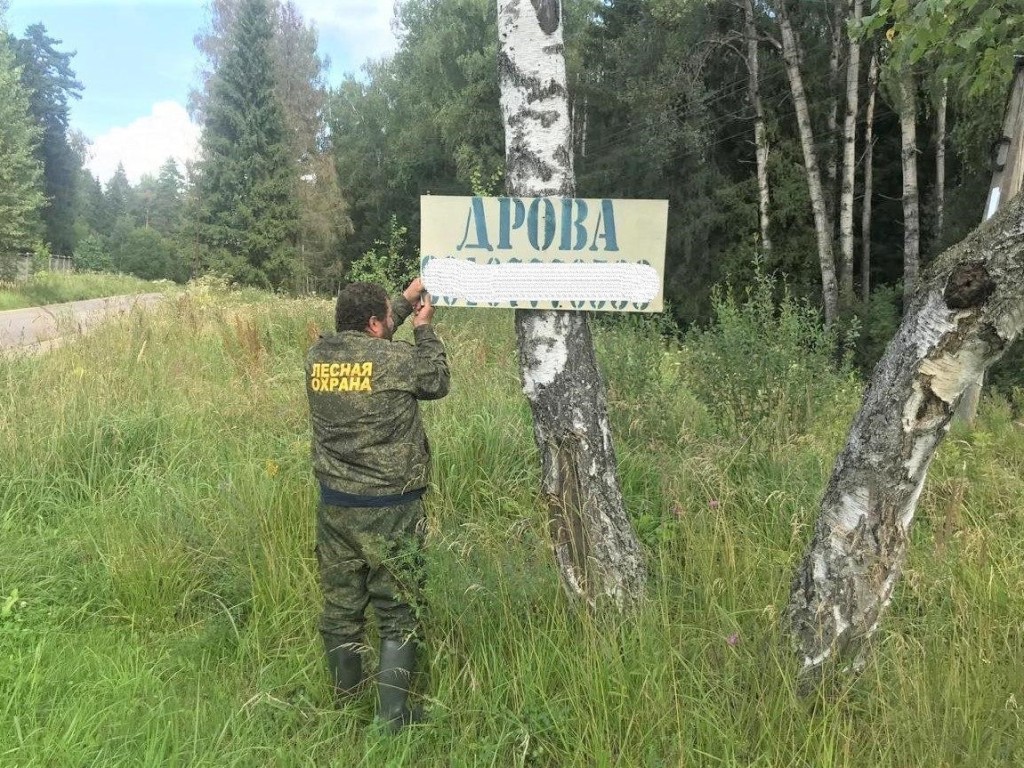 В деревне Повадино демонтировали незаконную рекламу с деревьев