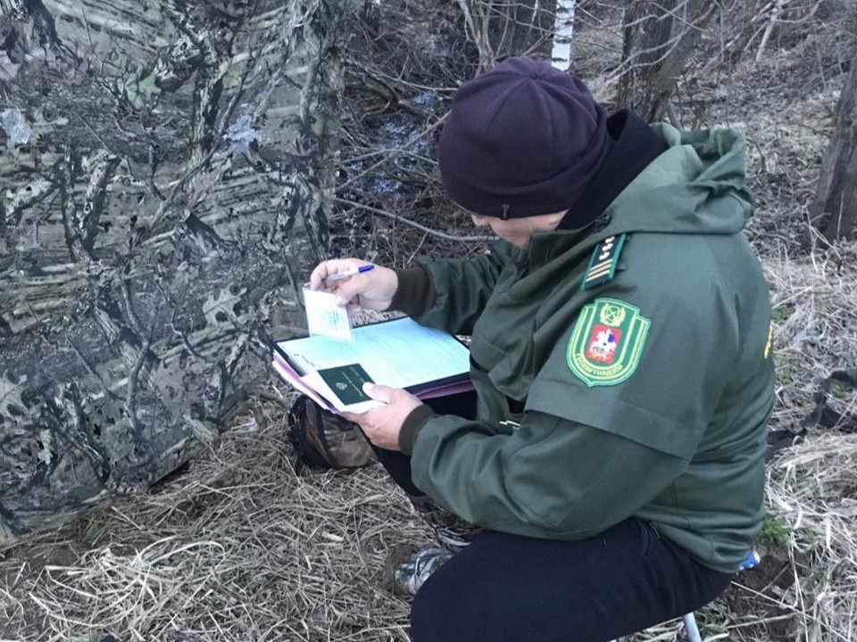 В Минэкологии Подмосковья рассказали о внедрении обязательного экзамена для охотников с 2025 года