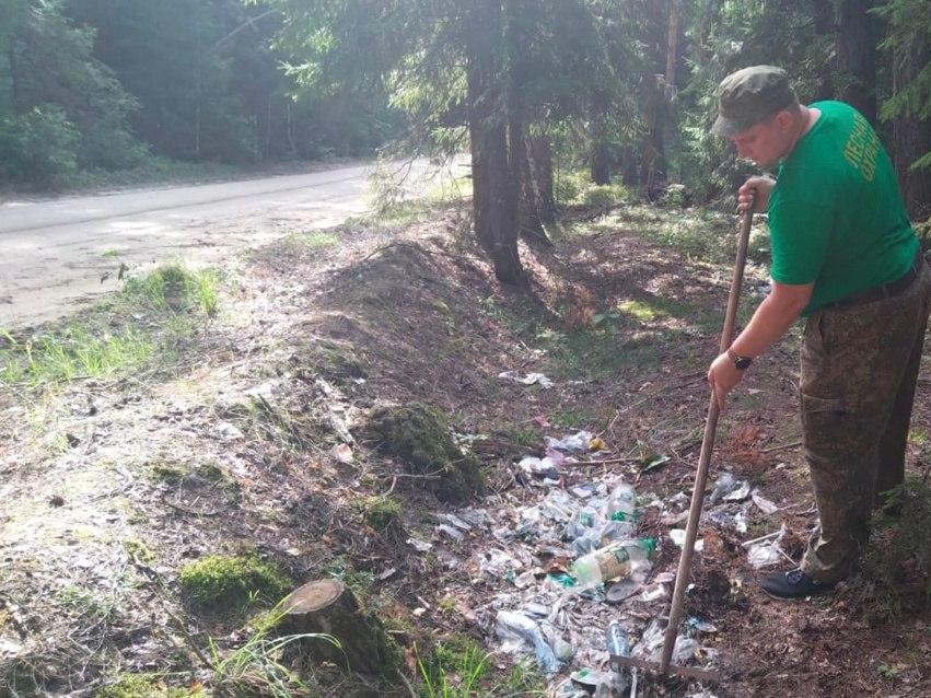 Егорьевские лесничие убрали несанкционированную свалку в районе деревни Некрасово