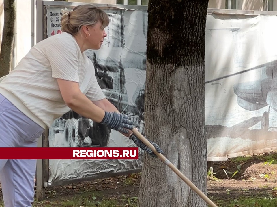 Жители Химок навели порядок на Аллее героев трудовой славы