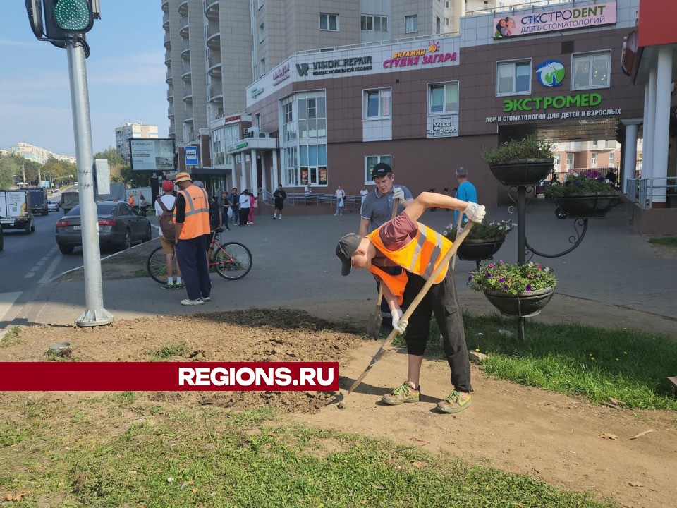 Коммунальщики восстановили газоны рядом с пешеходным переходом на улице Чехова в Пушкино