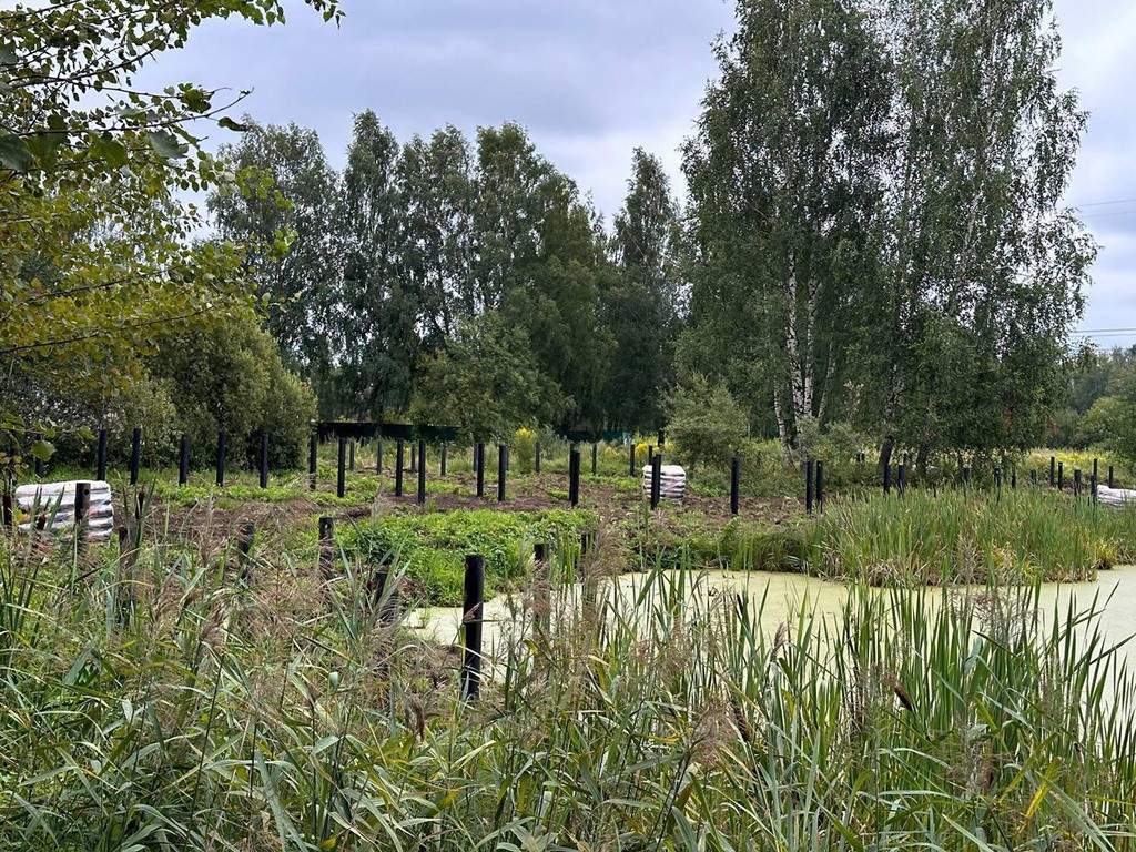 Экологическую тропу проложат в городском парке Ивантеевки до конца года