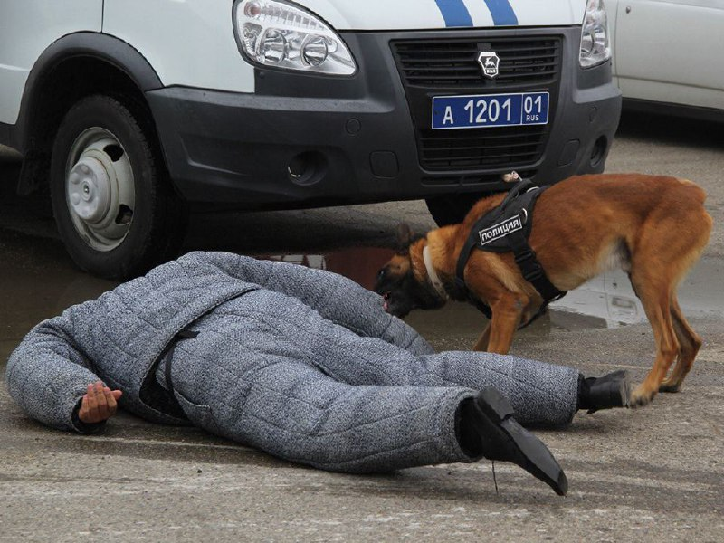 Труп мужчины, выпавшего из окна в Люберцах, попал на видео