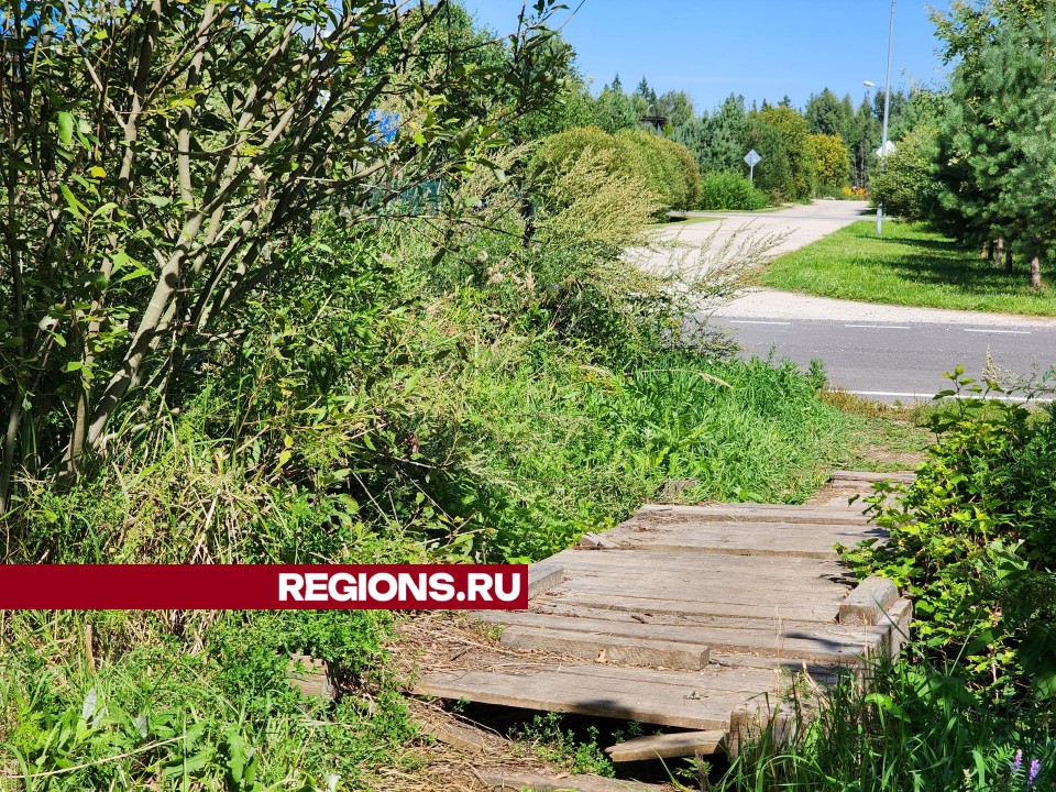 В Дубне в ближайшее время обустроят тротуар до остановки «Ул. Александровка»