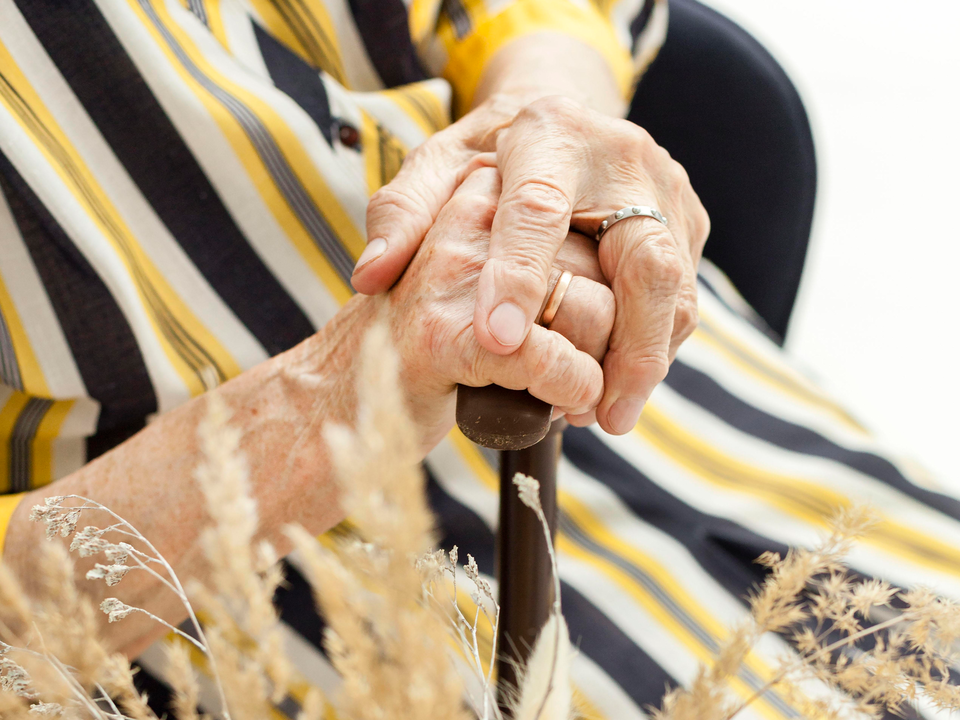 В Раменском 95-летняя баба Дуня потерялась и провела ночь в лесу