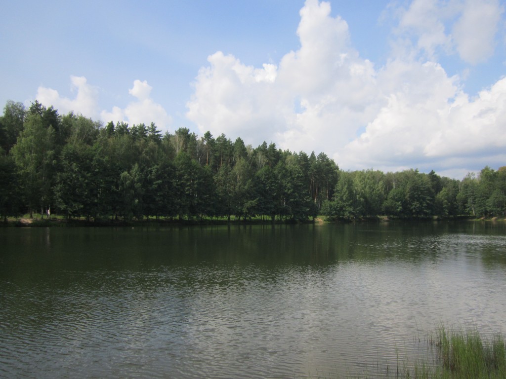 В электростальском пруду, не предназначенном для купания, утонул человек