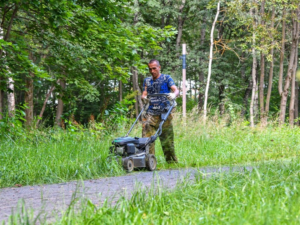 Куда обратиться жителям Химок, чтобы покосили траву во дворе дома