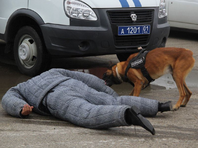 Труп мужчины, выпавшего из окна в Люберцах, попал на видео