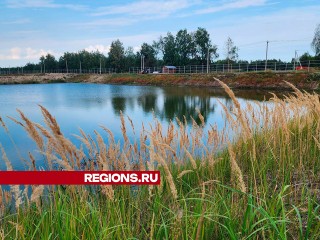 200 килограммов рыбы пустили в водоем в Шатуре: вырастят карася, карпа, форель и осетра