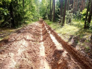 В лесах Орехово-Зуева завершаются противопожарные мероприятия