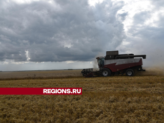 Больше всего подмосковных сои и рапса собрали в Лотошине