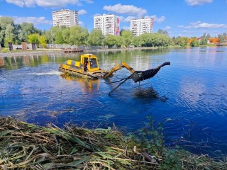 В Лобне чистят пруд «Поплавок»