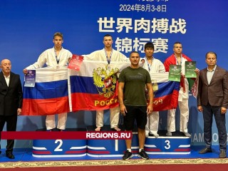 Индивидуалки Город Железнодорожный Балашиха