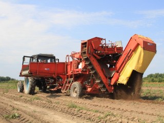 В Шатуре началась уборка урожая и заготовка кормов