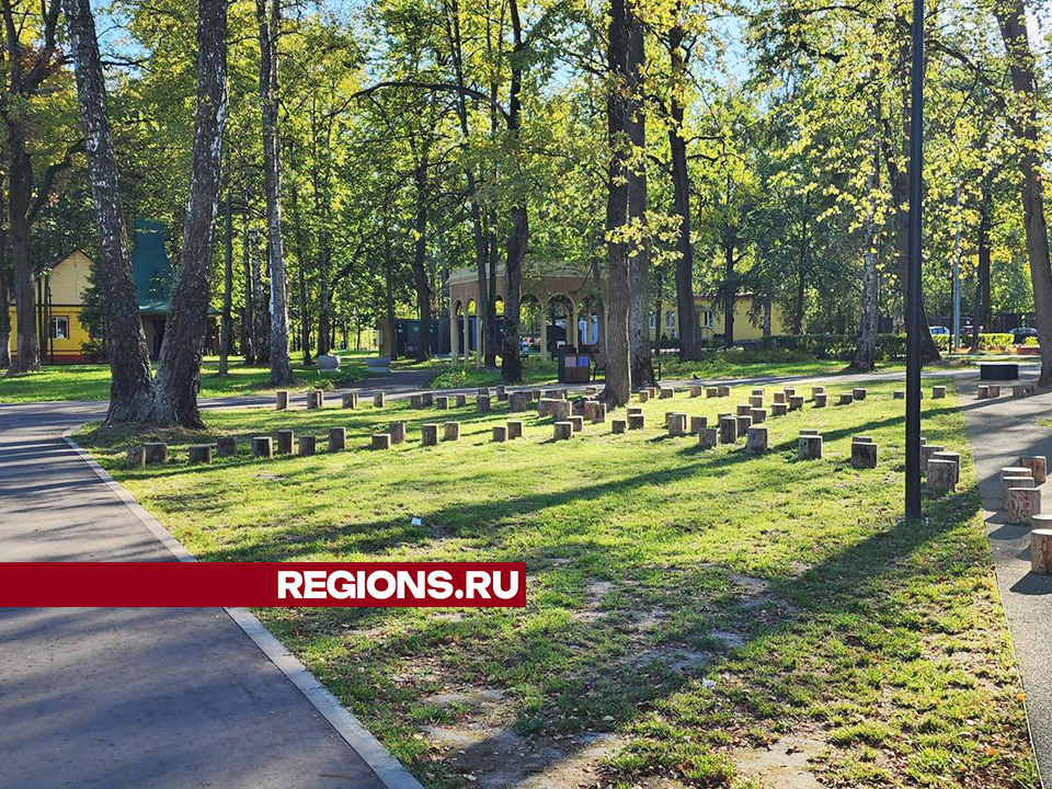 В парке Ступина по просьбе жителей установят малую горку для катания зимой