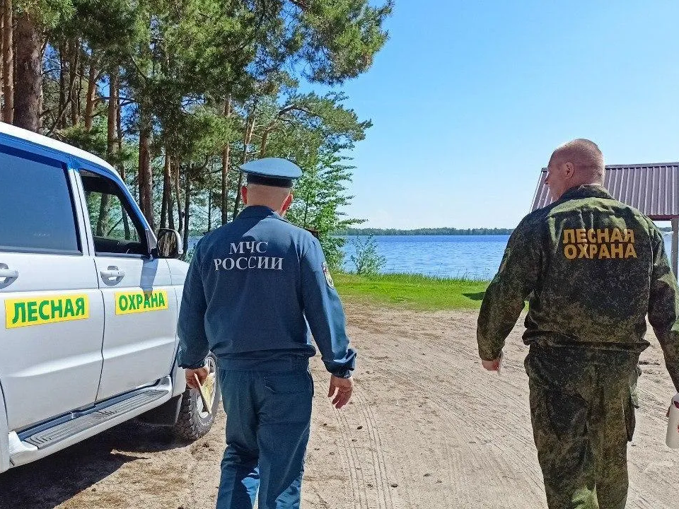 Леса Лосино-Петровского закрыты для посещения до 1 октября