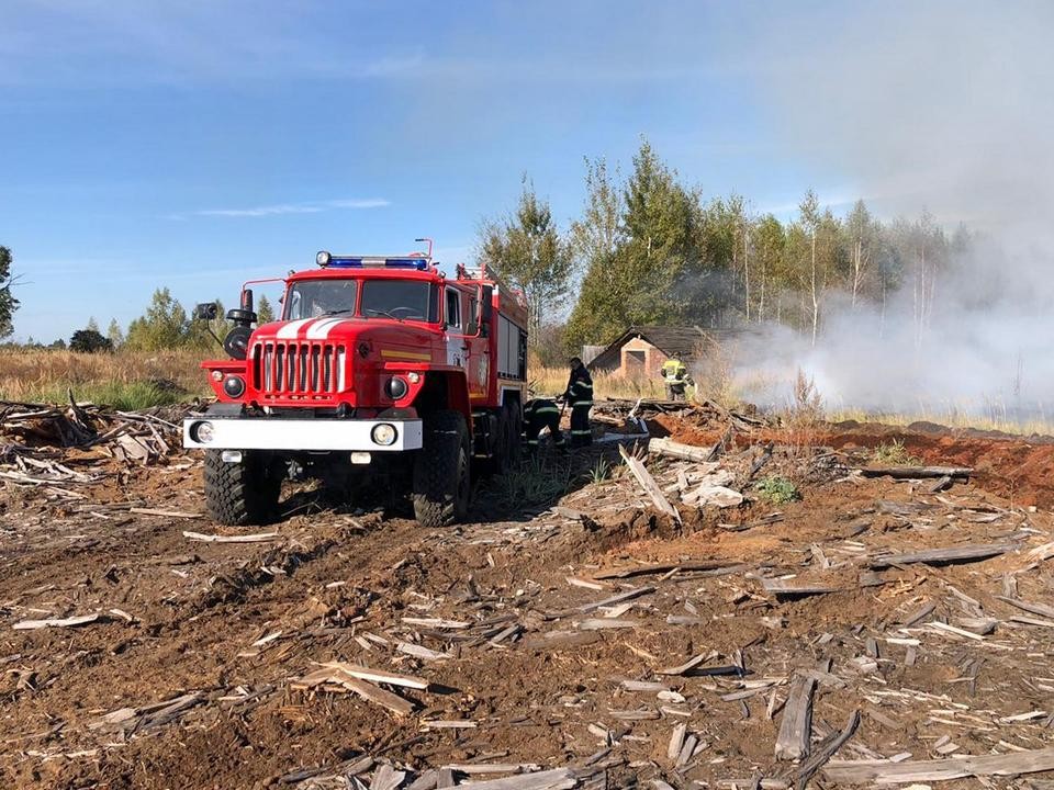 Восьмой лесной пожар произошел в округе по вине поджигателей