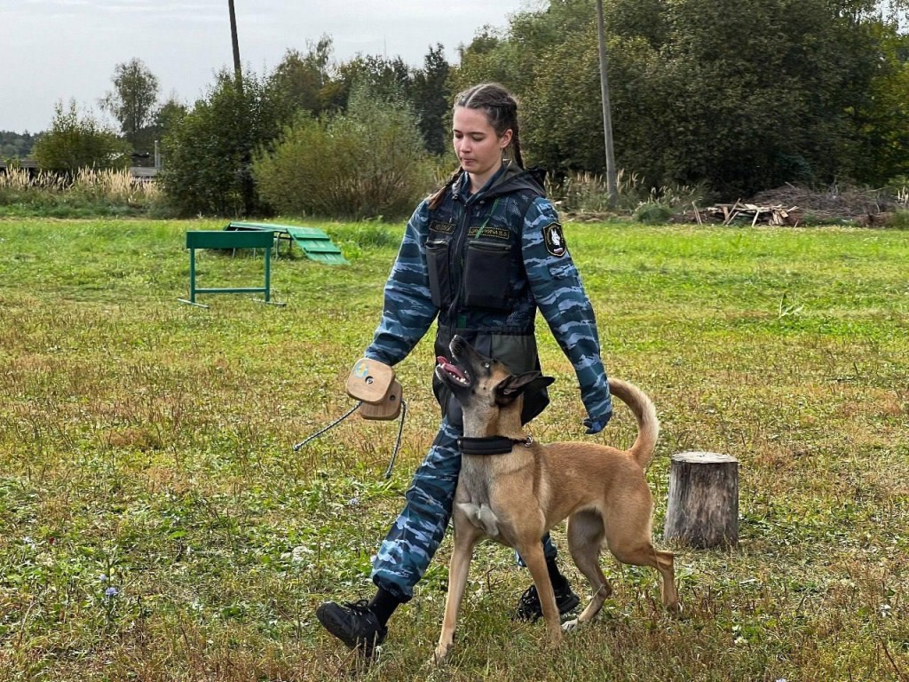 Будущих ветеринаров Коломны научат дрессировать собак