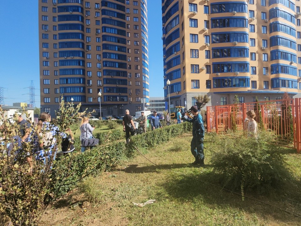 Реутовчане в День города высаживают новые деревья