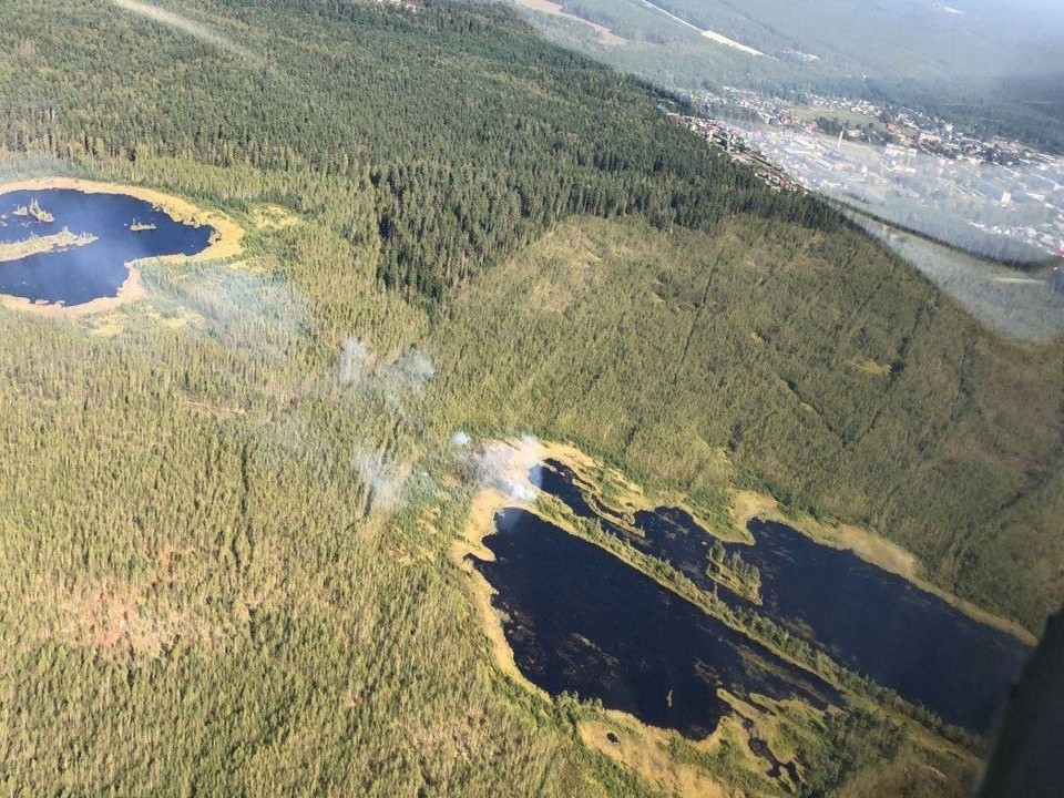 Спасатели ликвидировали лесной пожар в Орехово-Зуеве