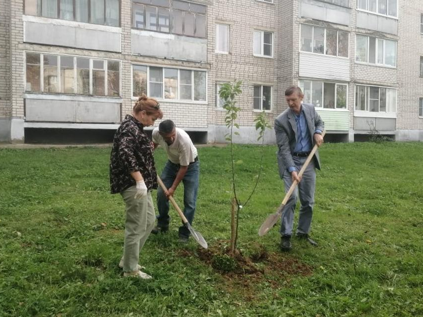 Волонтеры очистили «легкие» Сергиева Посада от мусора и посадили деревья