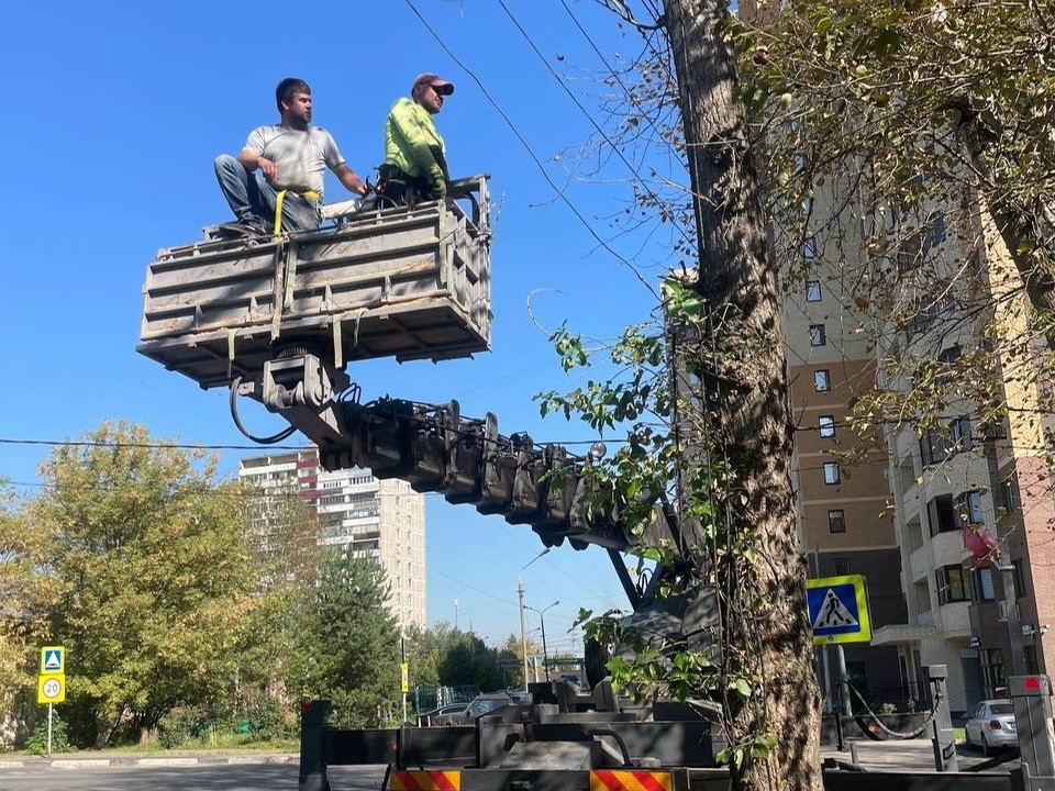 В четырех парках Лобни наводят порядок