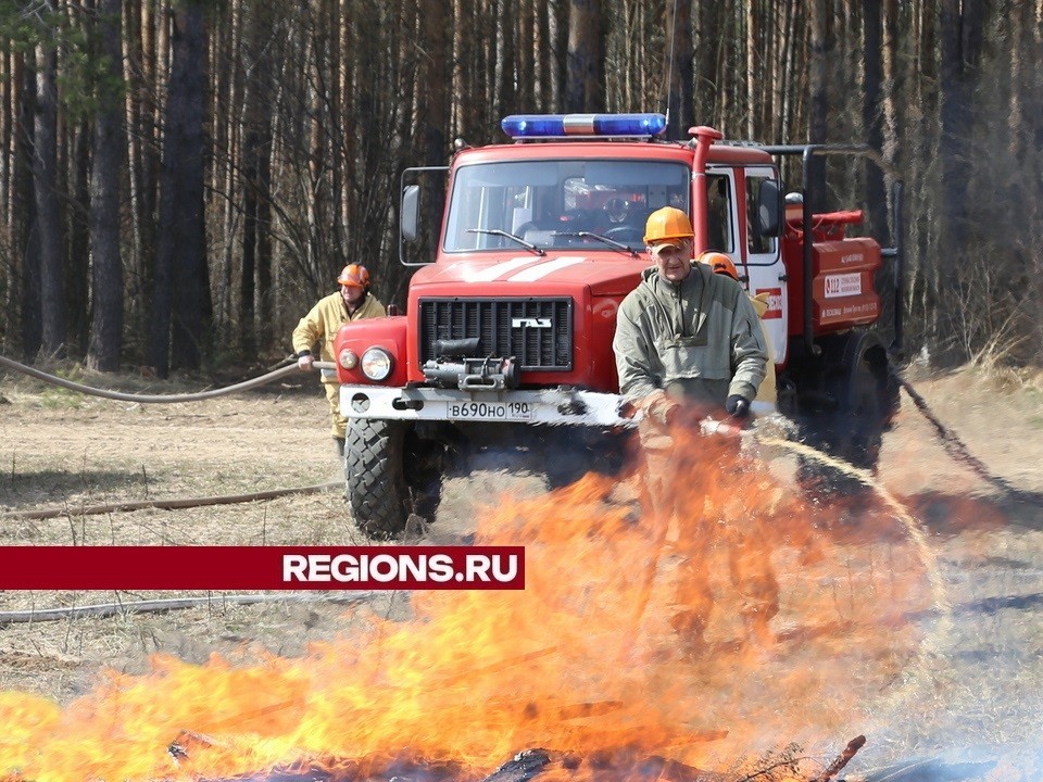 В поселке Белоомут ликвидировали лесной пожар