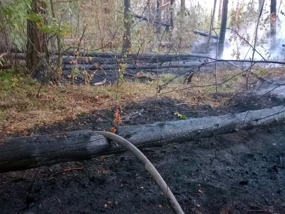 Лесной пожар три часа тушили на окраине Балашихи