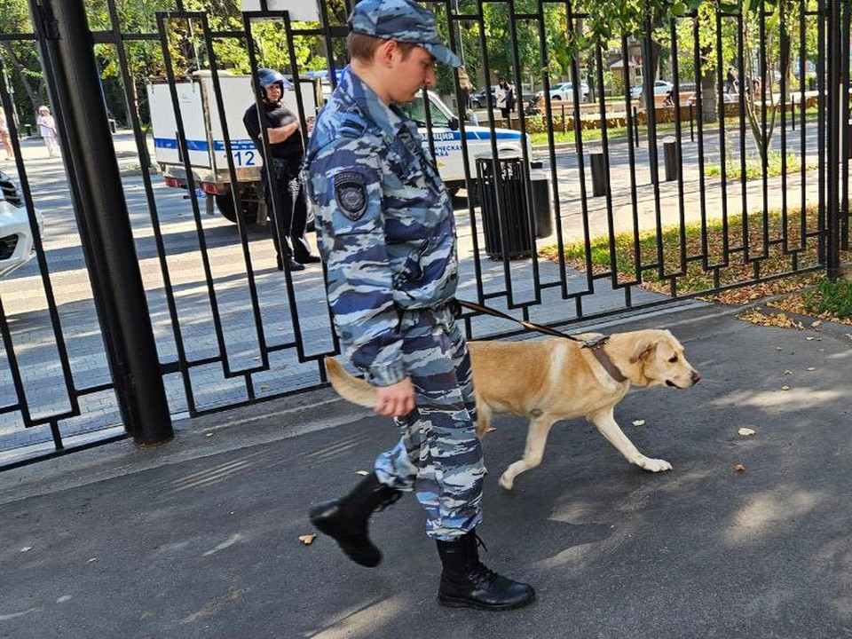 В деревне Ворщиково Воскресенска начали поиски пропавшей девочки