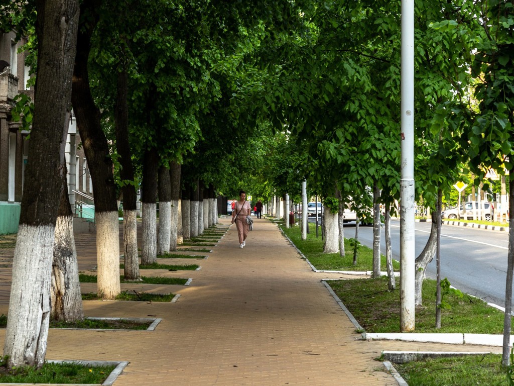 Летняя погода будет радовать ступинцев до конца сентября