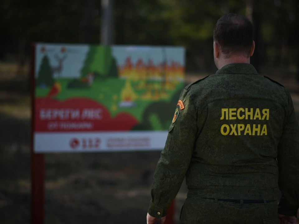 В Подмосковье за один день выявили семь нарушений парковки автомобилей в лесной зоне