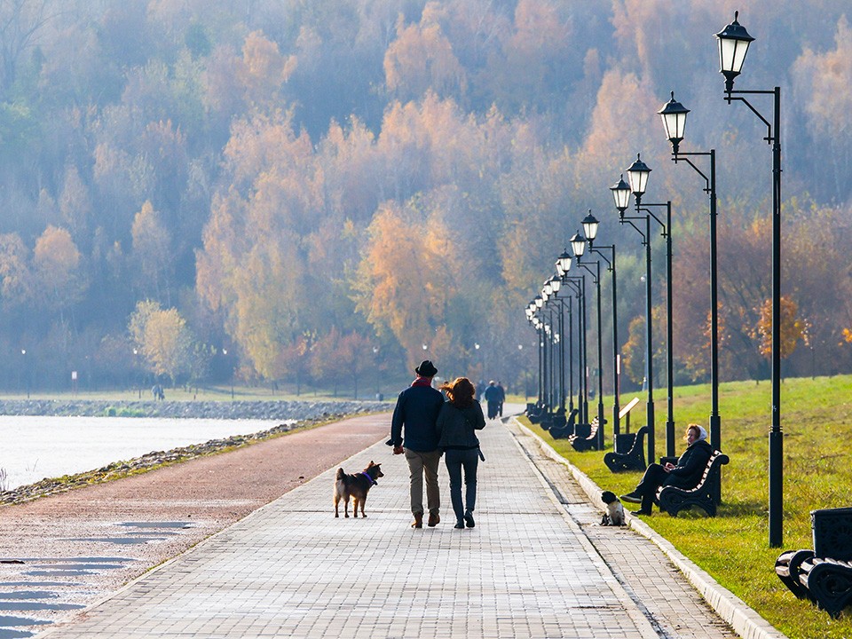 В Подмосковье разработали маршруты для туристов с питомцами