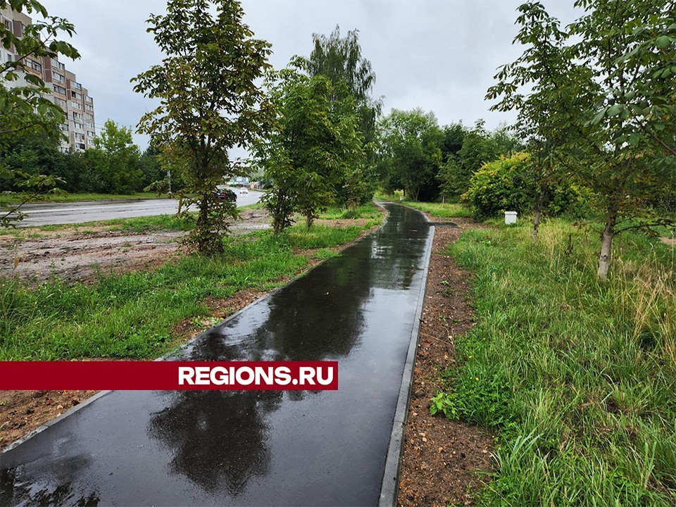 В Большом Серпухове осветят Аллею 65 лет Победы к 2025 году