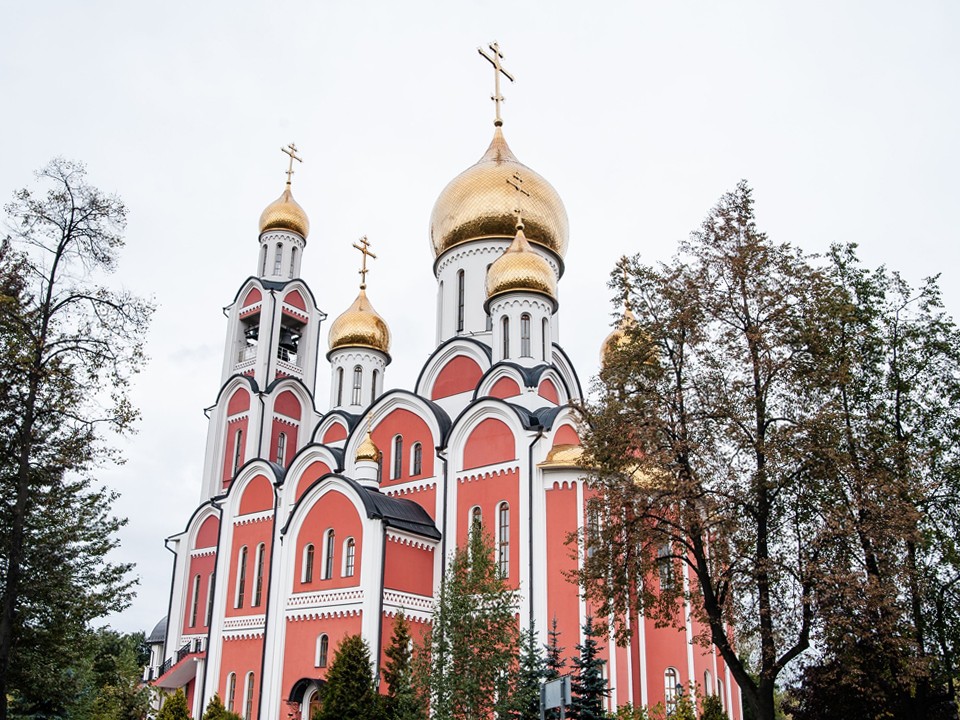 Массово вырубить деревья в Одинцове попросили священники Георгиевского собора