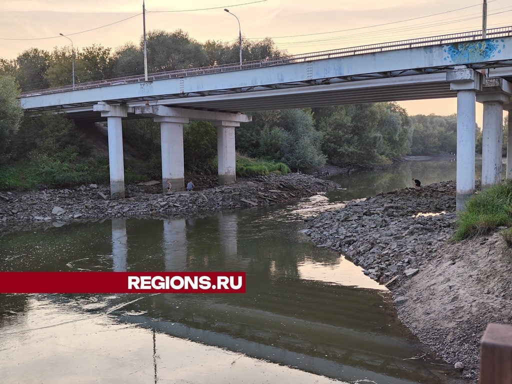 Стали известны причины обмеления реки Нары в Серпухове