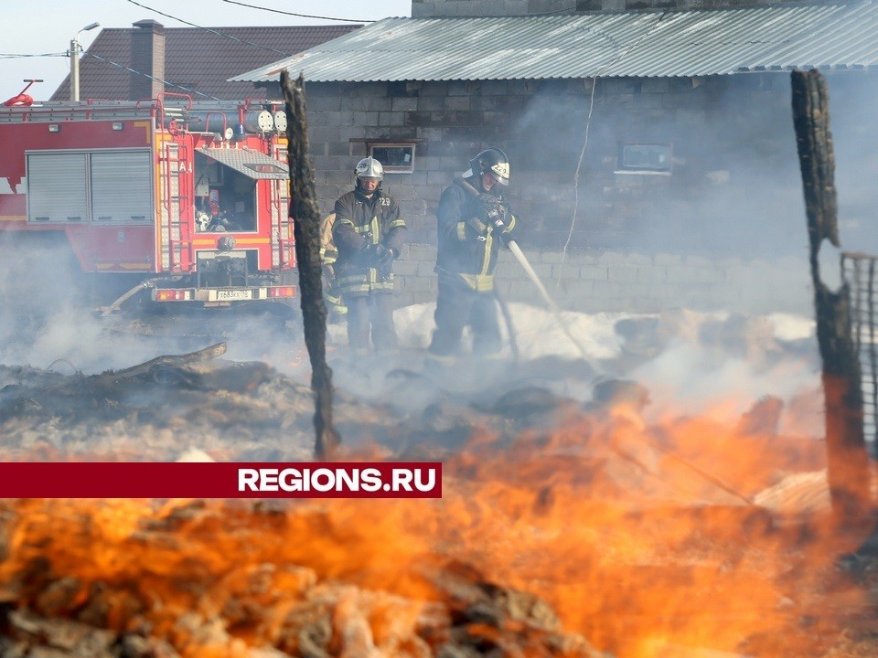 Как на пороховой бочке: в городском округе Луховицы из-за жары участились возгорания