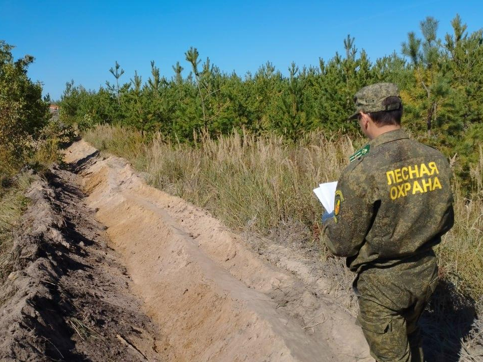 Более 25 километров защитных полос обновили в коломенских лесах