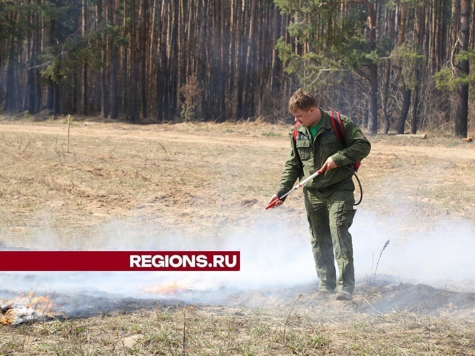 Ограничения на посещение и въезд транспорта в луховицкие леса продлены до 1 октября