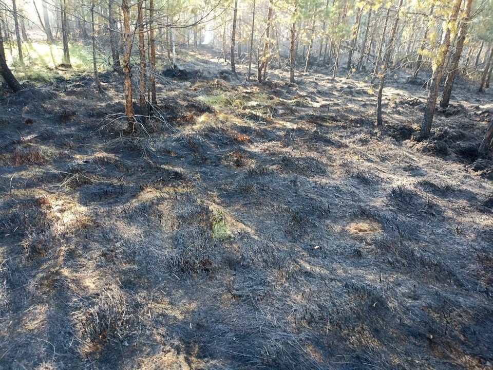 Третий за сутки пожар ликвидировали в Раменском