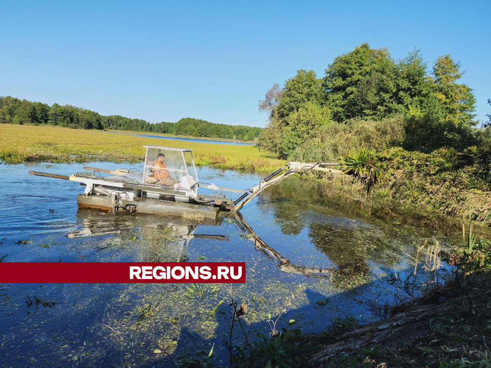 Убирают лишнюю растительность и мусор: в Егорьевске приводят в порядок озеро Святое