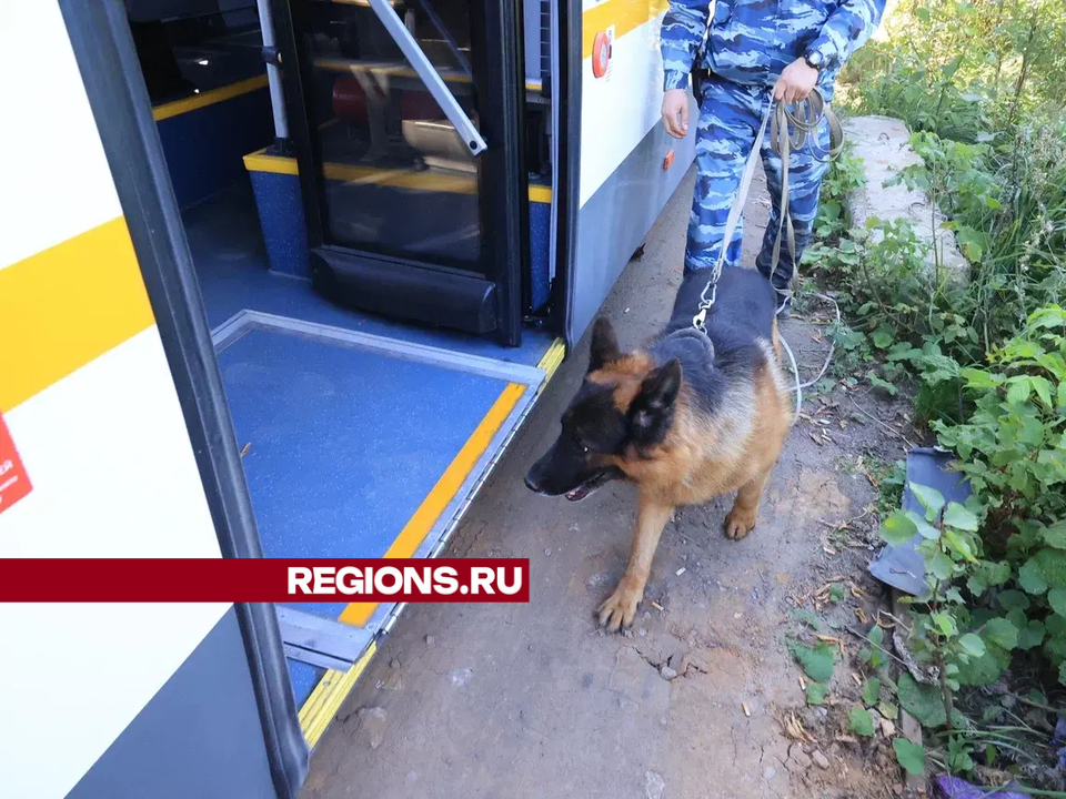 Водителей автобусов в Дзержинском проверили на знания транспортной безопасности