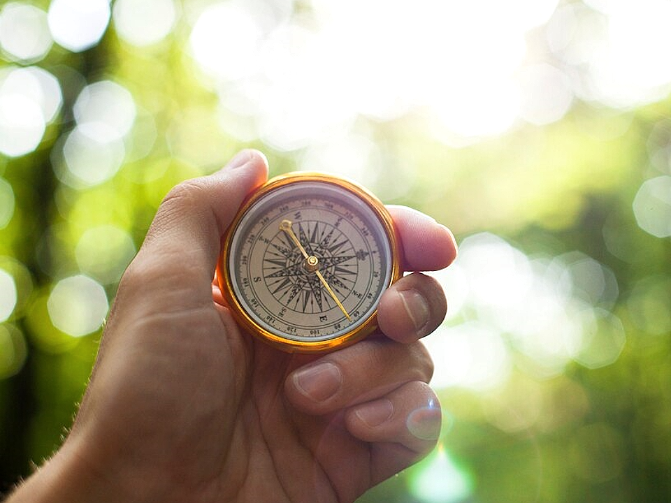 Спасатели Серпухова назвали пять правил безопасного сбора грибов и ягод