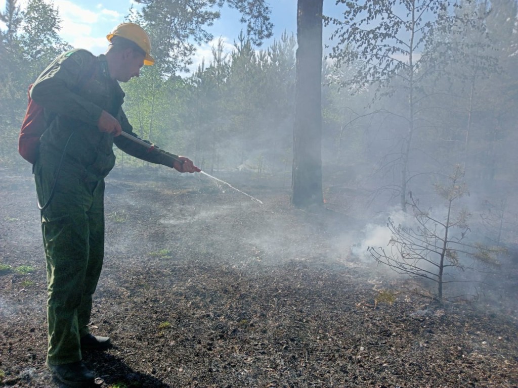 Лесной пожар ликвидировали у села Лужники в городском округе Ступино